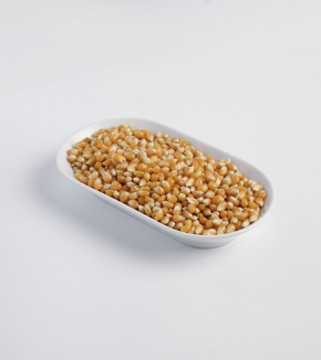 Jepretan Layar 2024-03-07 pukul 09.14.20